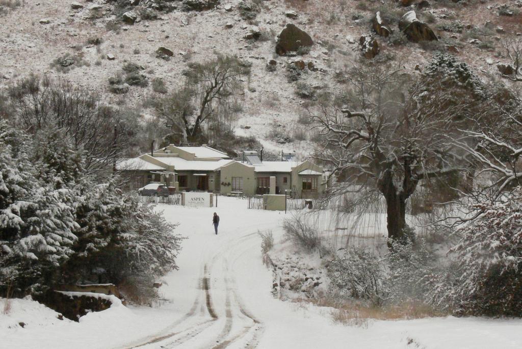 كلارينس Aspen Guest House المظهر الخارجي الصورة