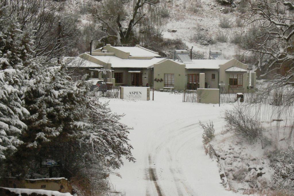 كلارينس Aspen Guest House المظهر الخارجي الصورة